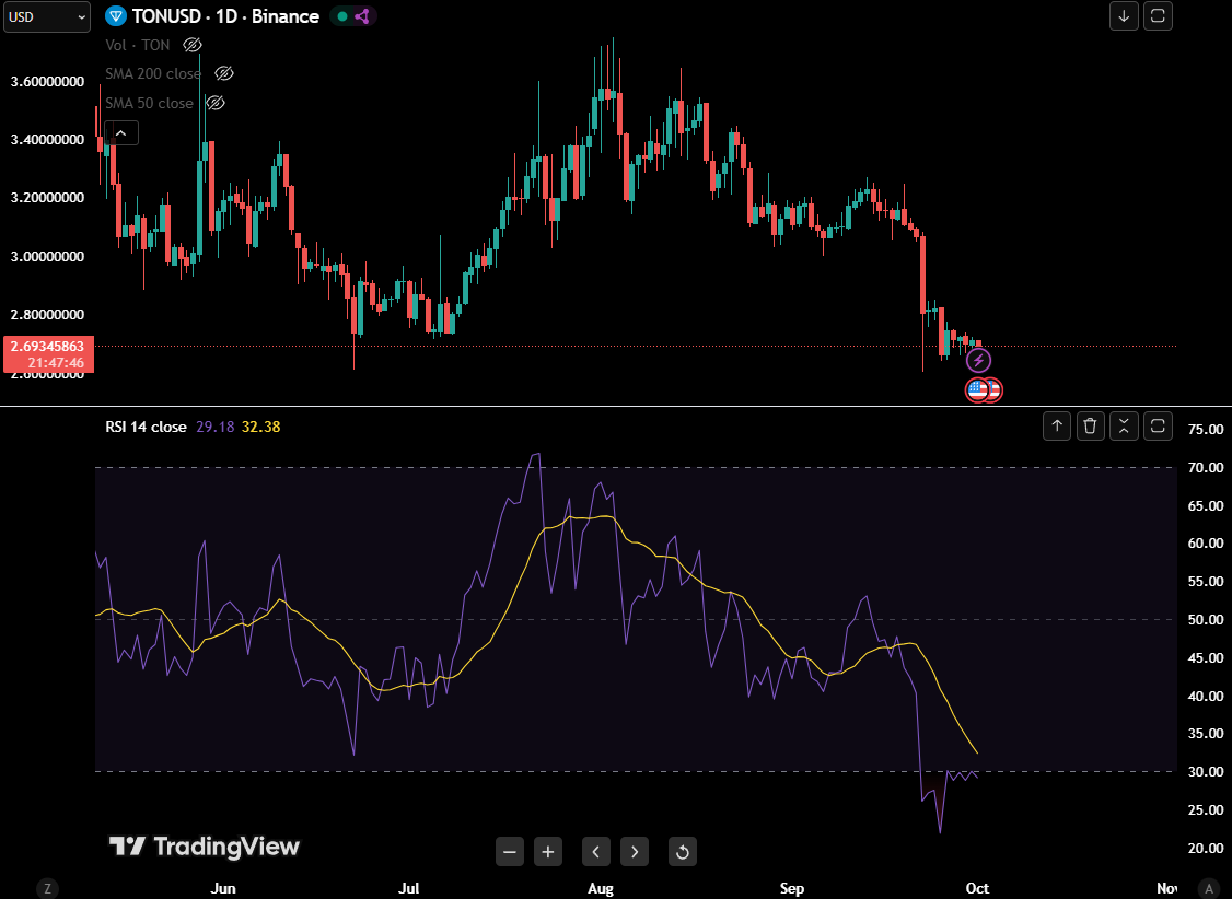 Toncoin performance
